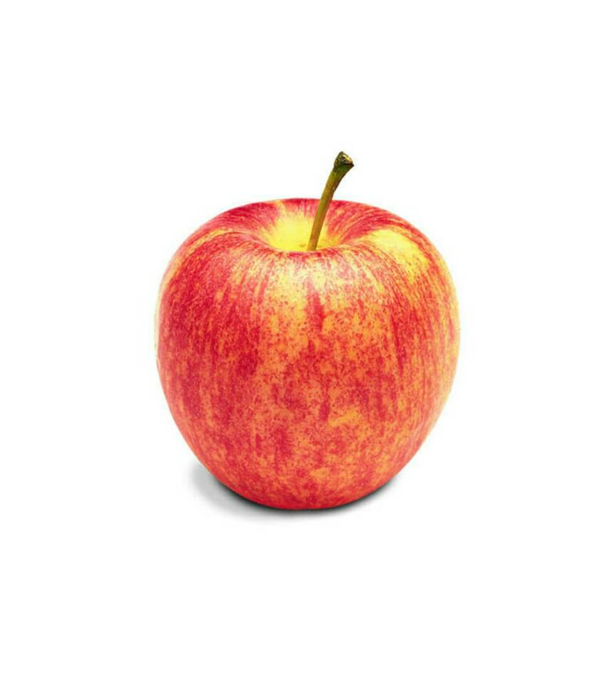 el_img