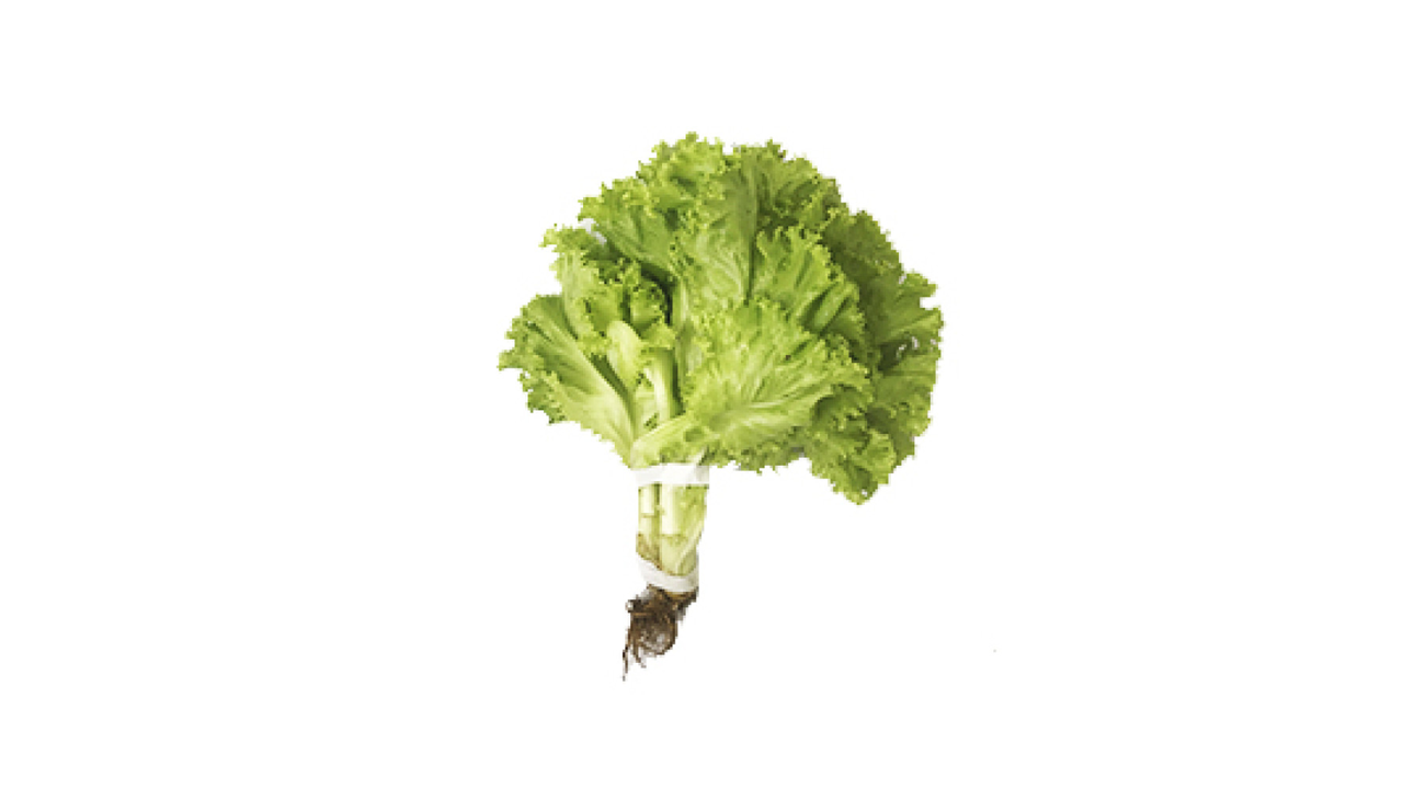 el_img